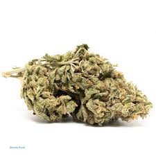 Master Kush