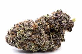 Purple Urkle