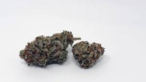 Tropic Exotic Thunder Cherry Cola
