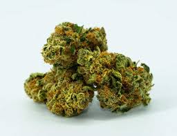 Cannabis Caviar Good Day Kush