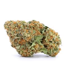 Tropic Exotic Thunder Orange Sherbet Strains