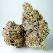 Banana Punch