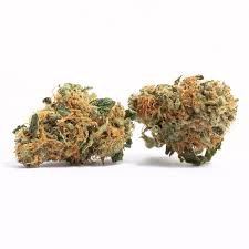 Tropic Exotic Thunder Hellfire o.g