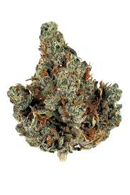 Holy Grail Kush