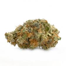 Cactus Breath