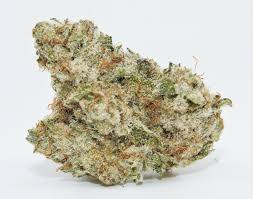 Hawaiian hammer