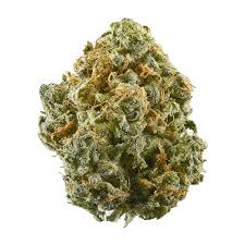 Big Bud