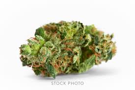 Fig bar strain