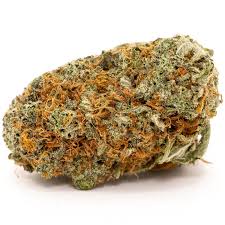 Tropic Exotics Thunder Girl Scout Cookies