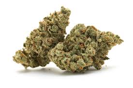Tropic Exotic Thunder Blueberry Crumble