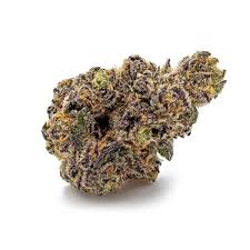 Tropic Exotic Thunder Cheetah Piss