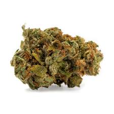 Lemon Skunk