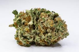 Tropic Exotic Thunder Bruce Banner