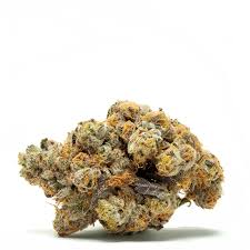 Tropic Exotic Thunder Strawberry Bananas Strains