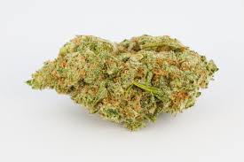 Dutch Kush