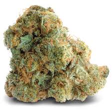 Grapefruit