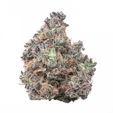 Candy land