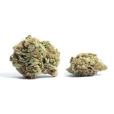 Snoop Dogg O.G