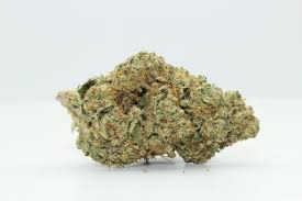 Tropic Exotic Thunder mimosa cake