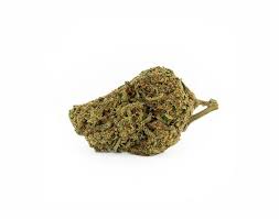 Tropic Exotic Thunder Gazzurple