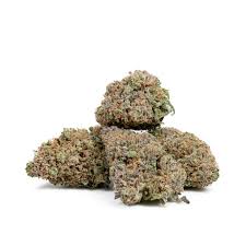 Jack the ripper