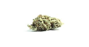 Tropic Exotic Thunder The Toad
