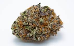 Tropic Exotic Thunder Jealousy Strain