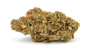 Gods Gift