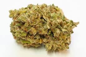 Tropic Exotic Thunder Durban Kush