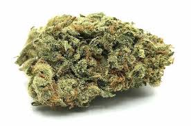 Mango Kush