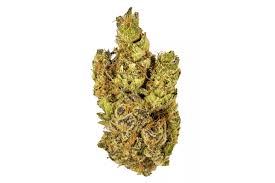 Tropic Exotic Thunder Banana Purple Punch Strain