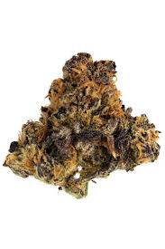 Lusty Oreoz Strain