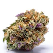 Tropic Exotic Thunder zkittles auto