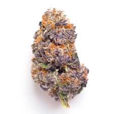 Tropic Exotic Thunder Amnesia Zkittles
