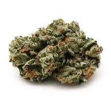 Pink Kush