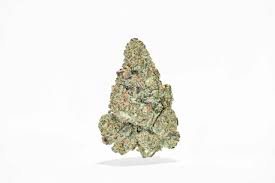 Tangerine Dream