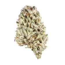 Tropic Exotic Thunder Chronic