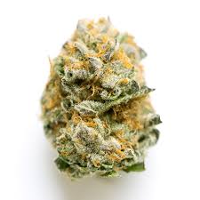 Khash treemason cookie strain