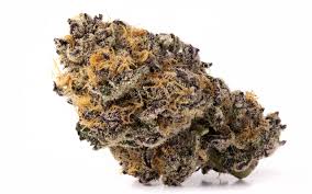 Peanut Butter Breath