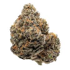 Italian Ice Strain