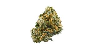 Tropic Exotic Thunder Hash