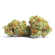 Red Dragon