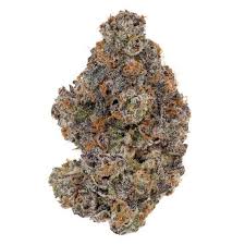 Tropic Exotic Thunder God Father O.G