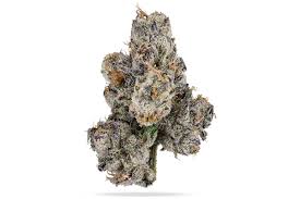 Tropic Exotic Thunder Bubble Gum