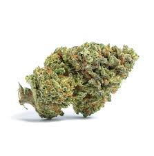 Tropic Exotic Thunder INDO