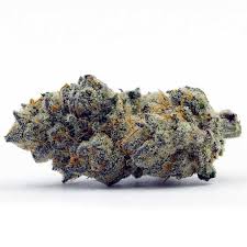 Tropic Exotic Thunder Apple Fritter