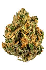 Island Sweet Skunk