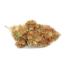 Tropic Exotic Thunder Banana Kush