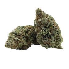 Pink Gorilla