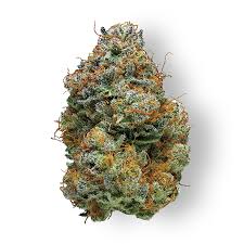 Blackberry